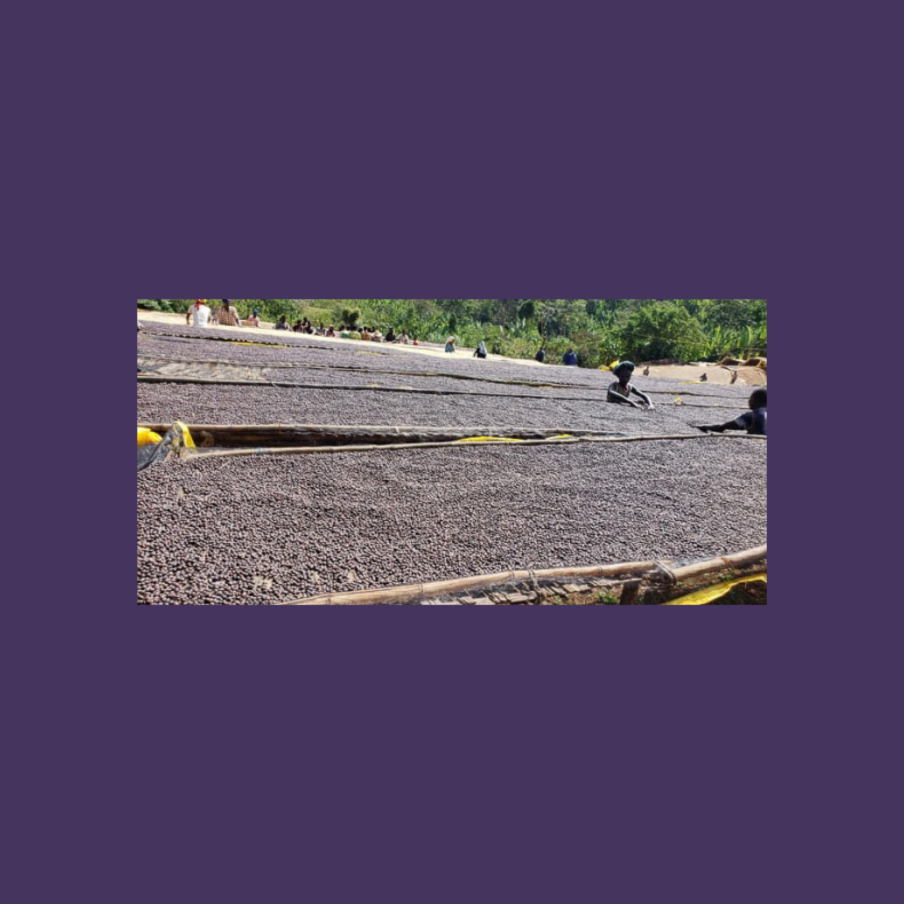 Banko Gotiti, Ethiopia