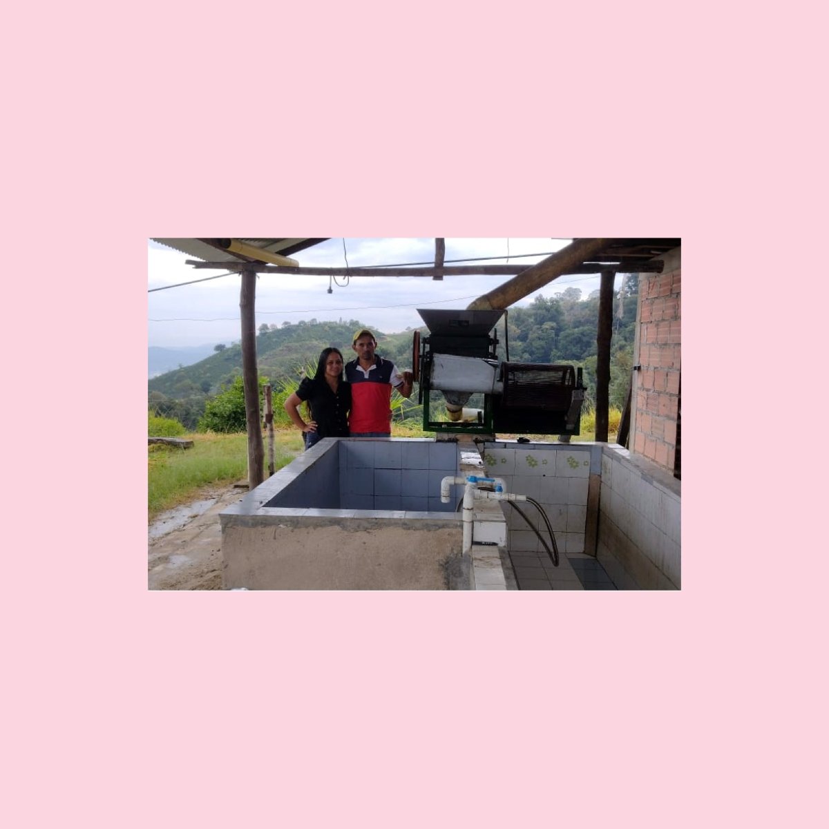 Bourbon Rosado, Colombia - Wood and Co Coffee
