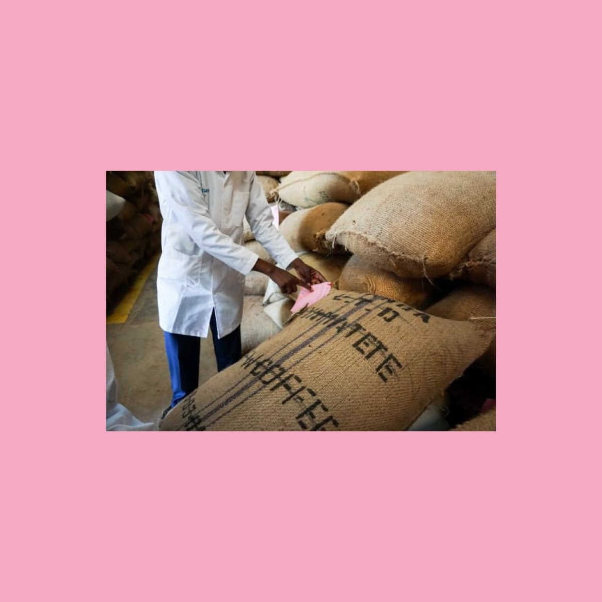 Gondo, Kenya - Wood and Co Coffee
